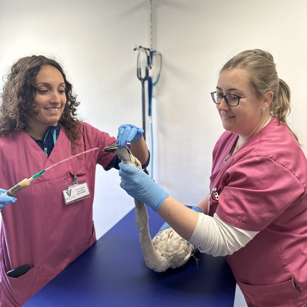 Marie et stéphanie