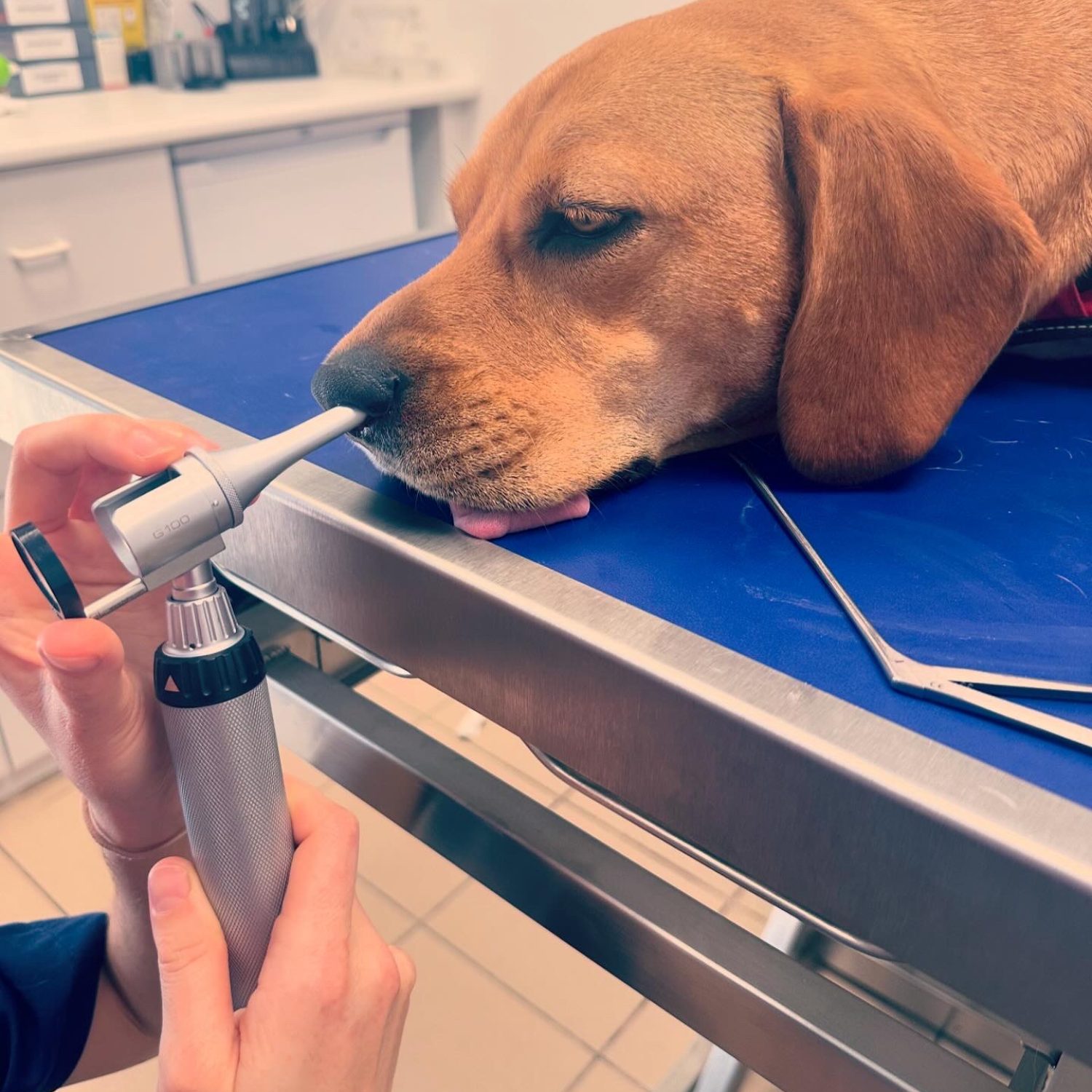 74E6B2EA-00E5-4B57-A572-89CABD7D3288